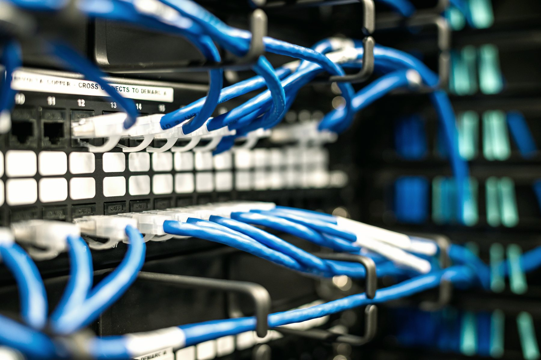 Blue patch cables running in ordered rows into a server.