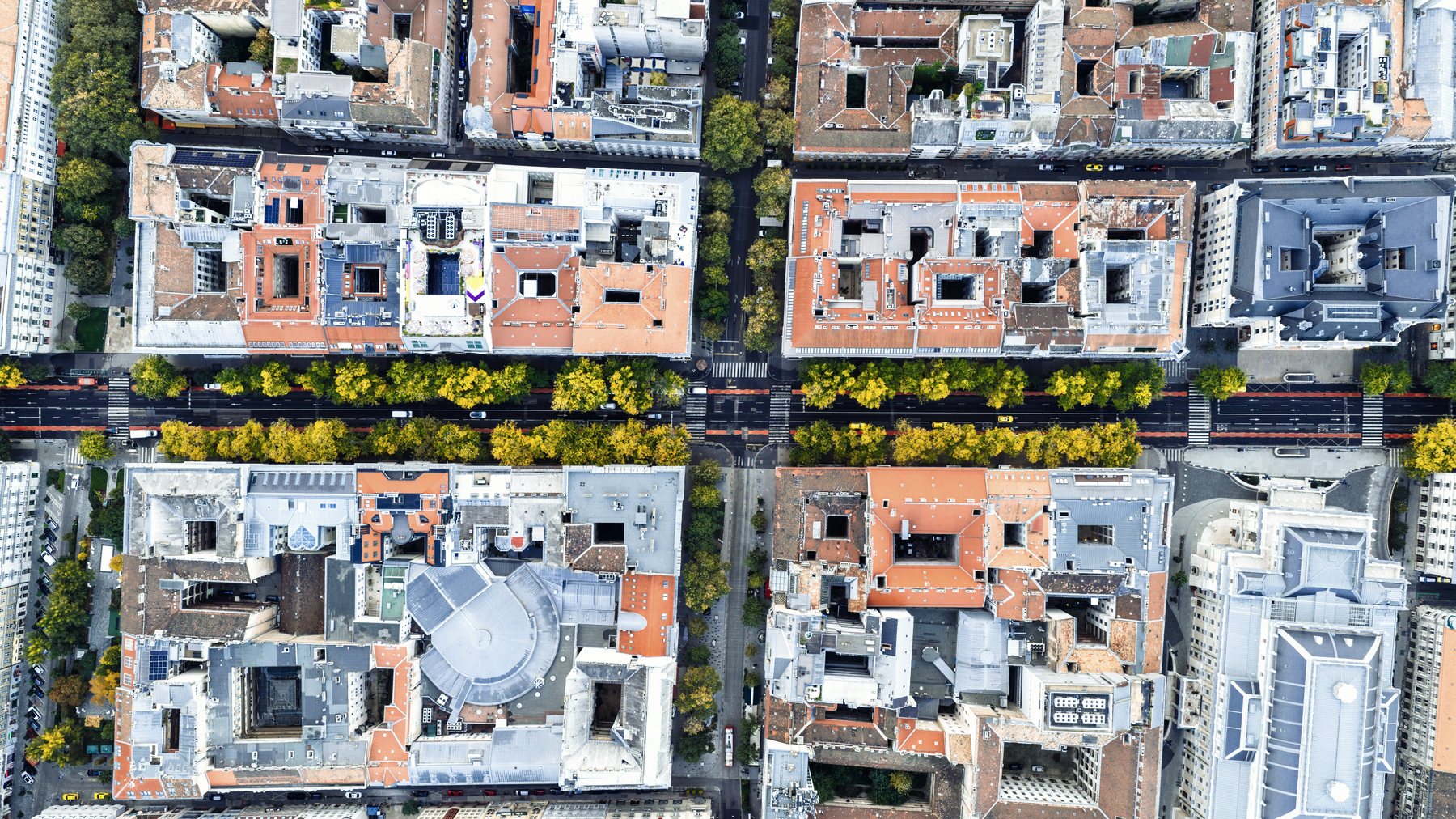 An aerial view straight down over city blocks lined with autumn trees.