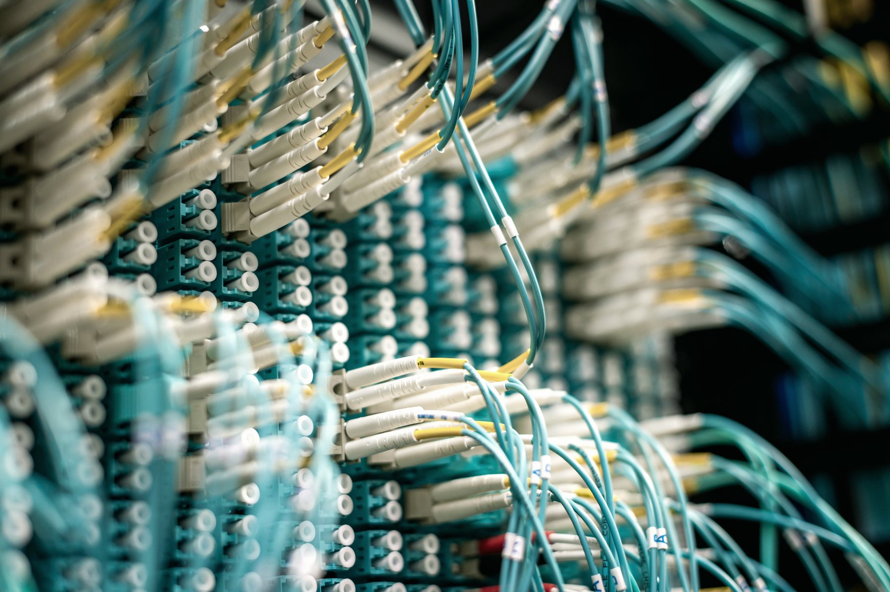 Rows of teal fibre-optic cables plugged into a network switch, seen from below.