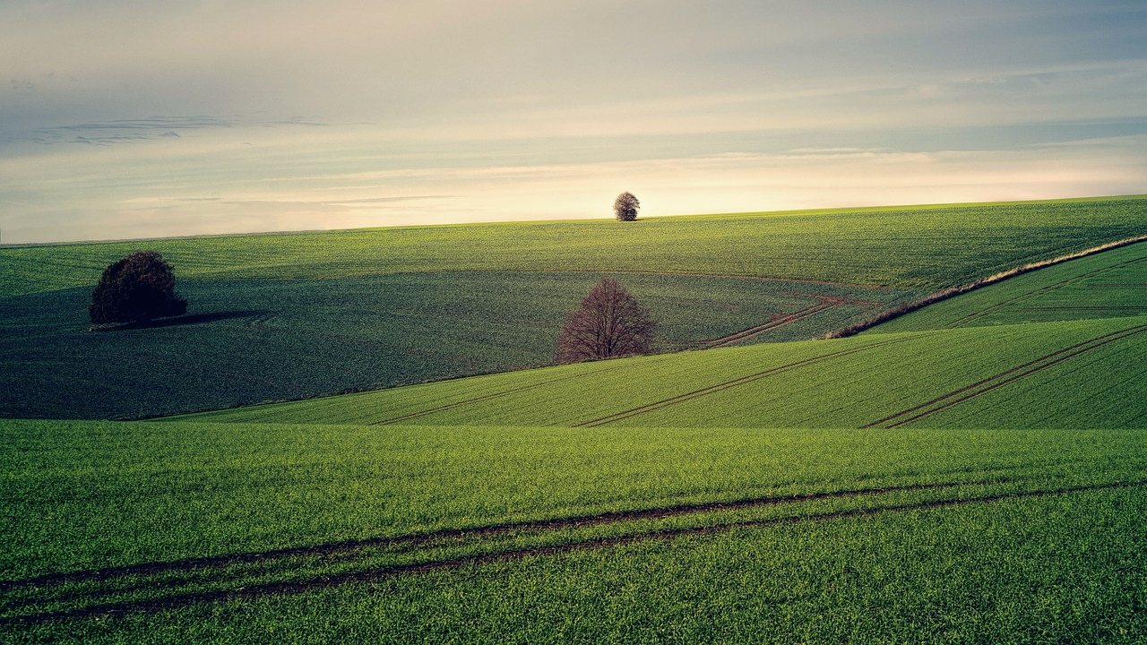 Open green farmland rolling towards the horizon with a few scattered trees.