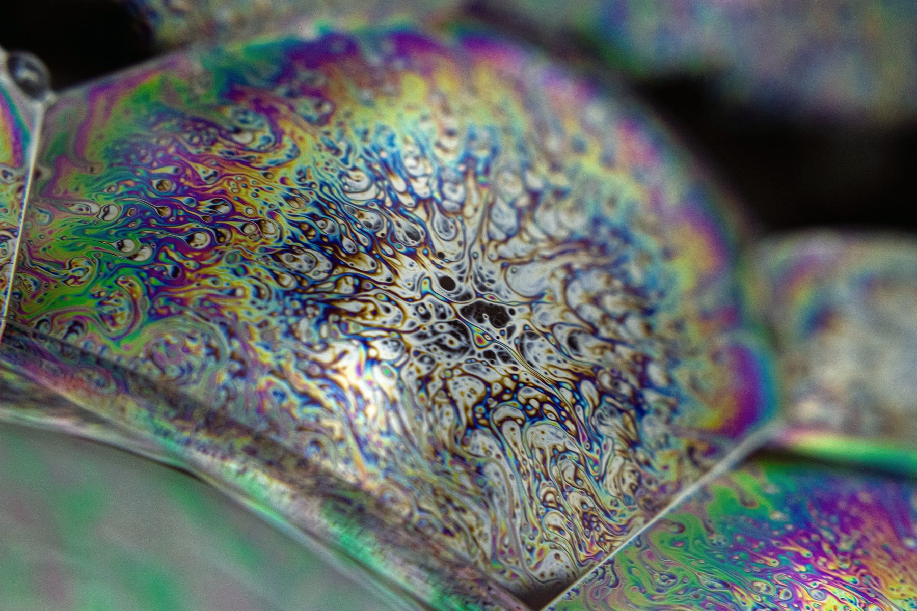 A soap bubble in close-up, its surface a film of iridescent colour.